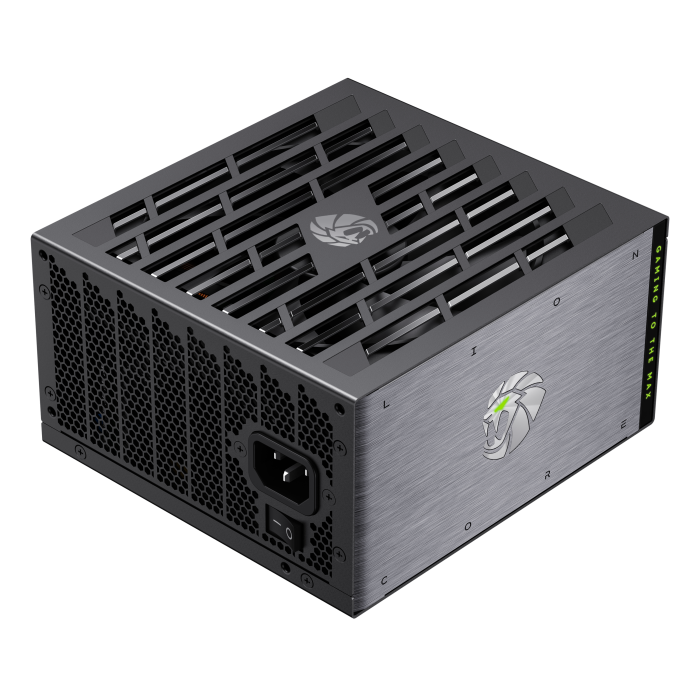 Lion Core 1000P Life Time Warranty - Image 3