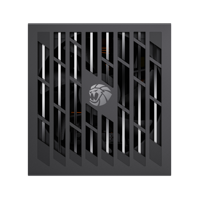 Lion Core 1000P Life Time Warranty - Image 5